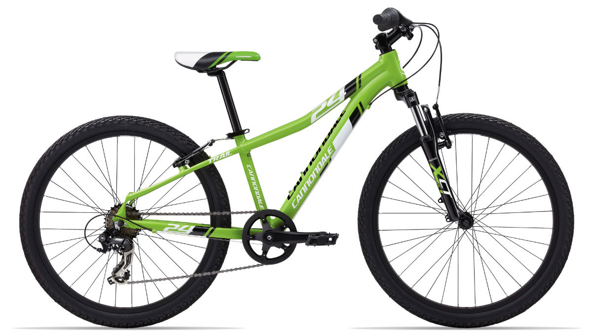 Cannondale Mountain Bike